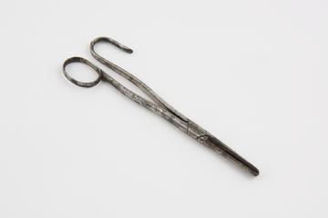 Hare-lip forceps