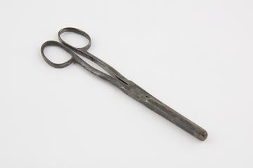 Hare-lip forceps