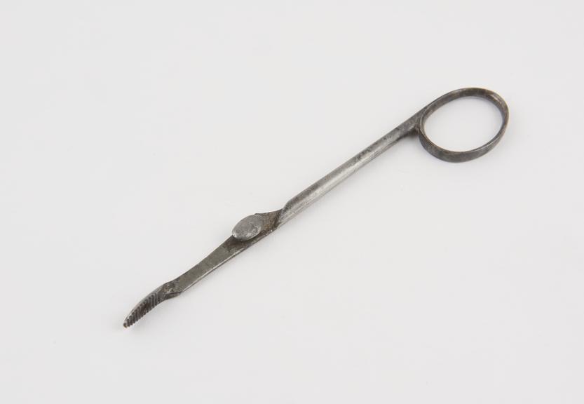 Polypus forceps, one shank only, steel, second half 19th century