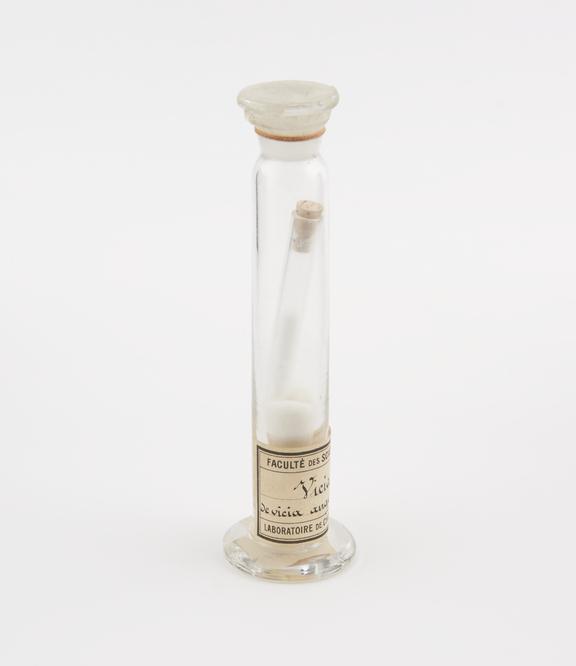 Glass specimen jar containing a test tube with cork stopper