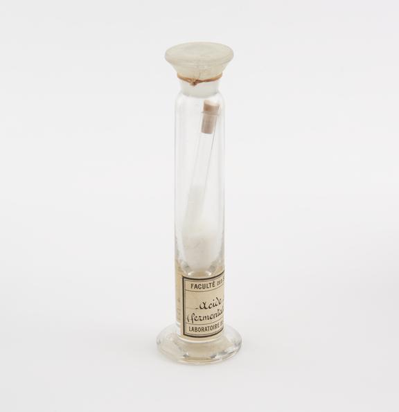 Glass specimen jar containing a test tube with cork stopper