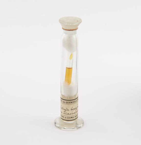 Glass specimen jar containing a sealed glass vial containing