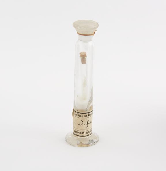 Glass specimen jar containing a test tube with cork stopper