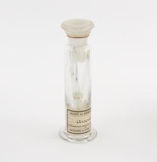 Arsenic de diverses origines animales