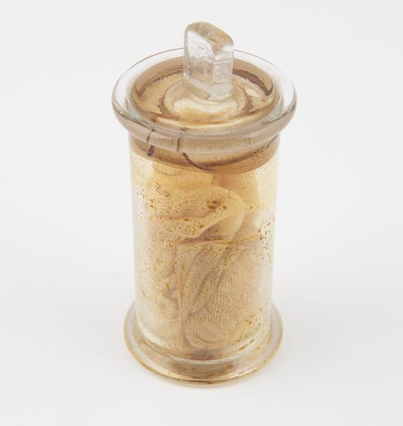 Glass jar containing gauze, associated with Lister collection