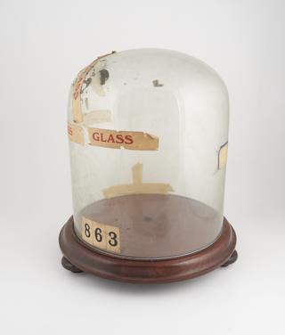 One of 2 glass domes