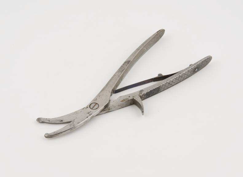 Bandage shears, steel, 19th century