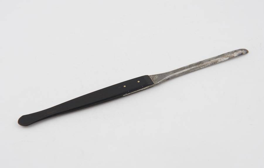 Hernia director, steel and ebony, 19th century