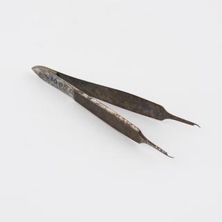 Fillation forceps (Sir J. Anderson Critchett)