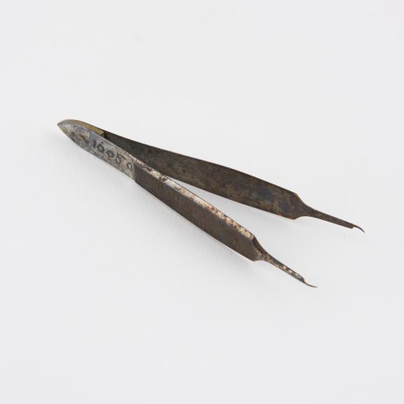 Fillation forceps (Sir J. Anderson Critchett)