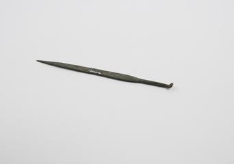 Combined scoop and probe
