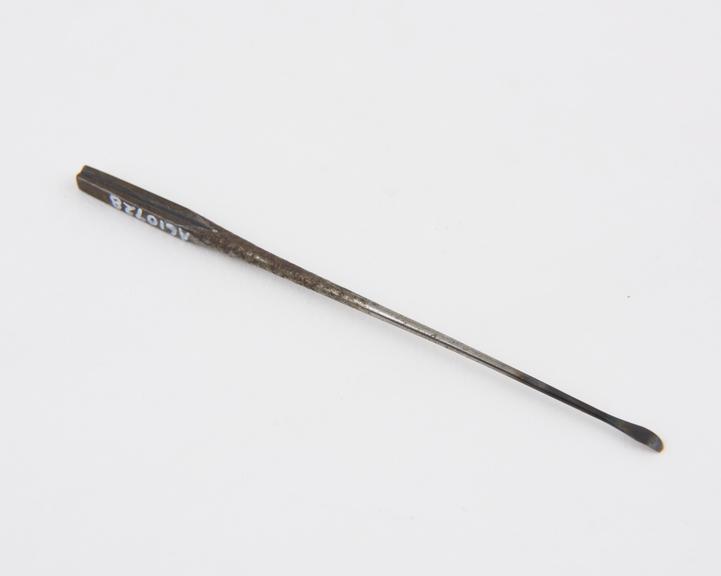 Surgical instrument, head only, steel, probably English