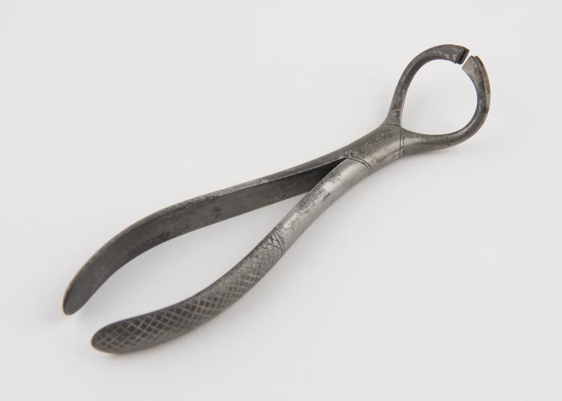 Forceps, tinned steel, unknown application, English, 1820-1870