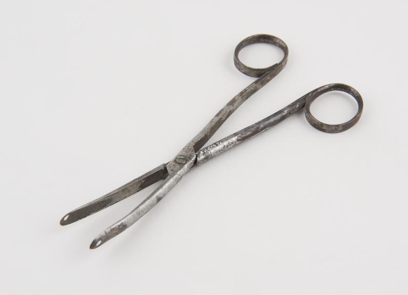 Nasal polypus forceps(?), steel, probably English, 1840-1890