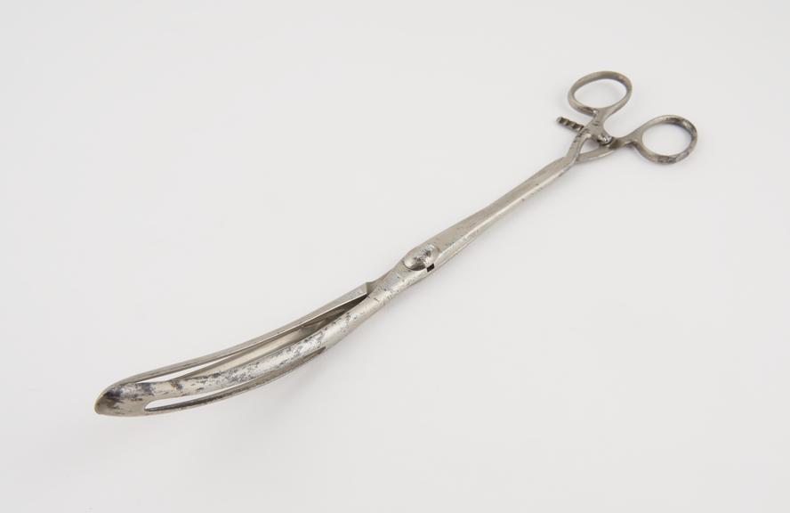 Introducing forceps for hydrostatic dilator