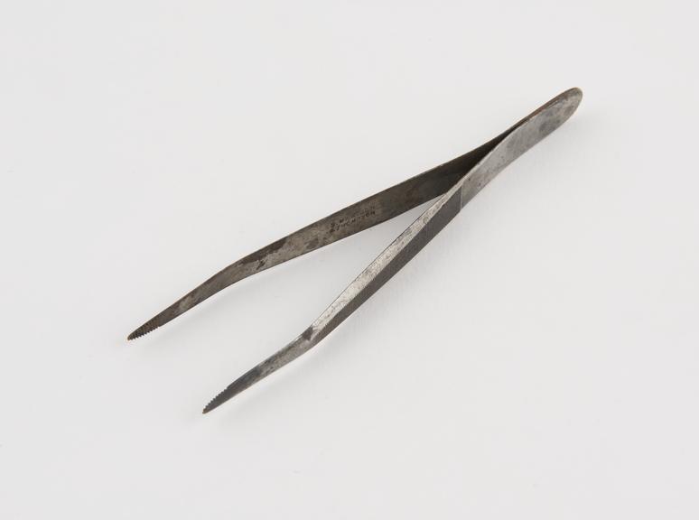 Dissecting forceps, steel, by S