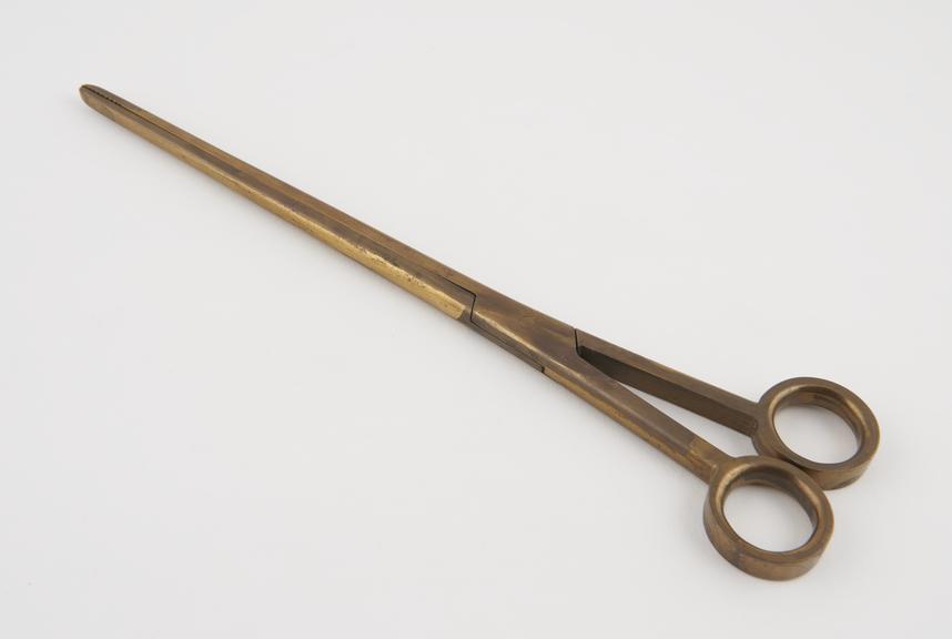 Brass forceps, for plague treatment