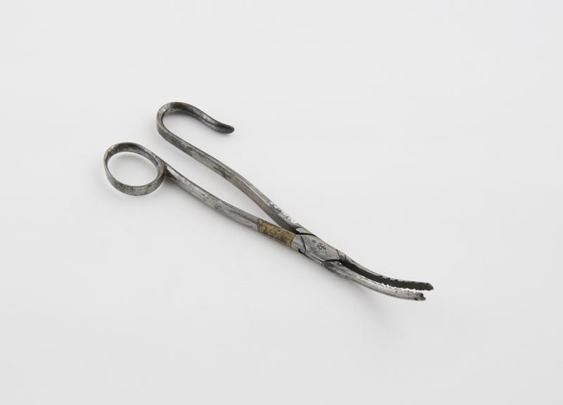 Forceps, possibly for nasal polypus, steel