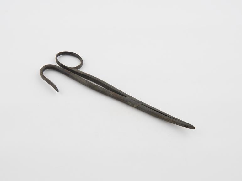 Polypus forceps, steel, by Matthews of London, 19th century