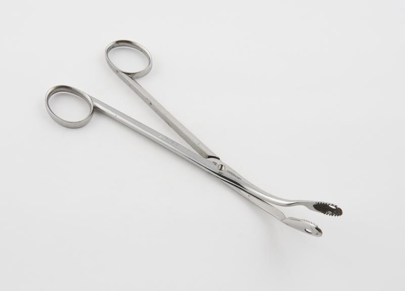 Nasal polypus forceps, steel, nickel-plated