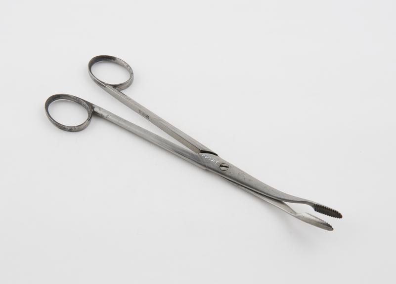 Nasal polypus forceps, steel, plated