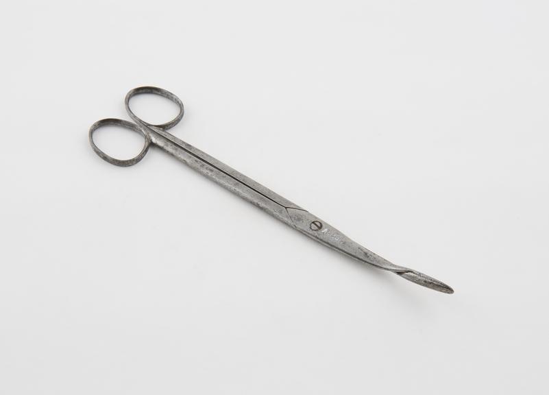 Nasal polypus forceps, steel, by Matthews of London