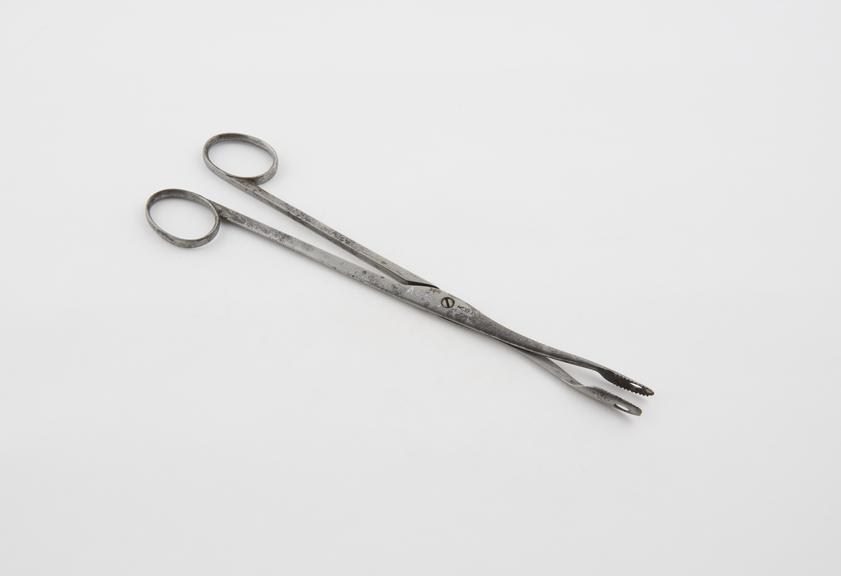 Forceps, possibly for uterine polypus, steel, by Lay