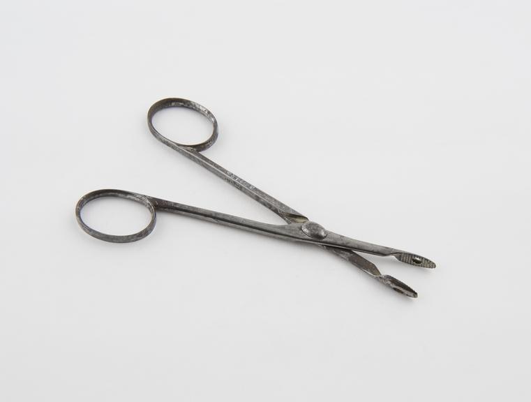 Nasal polypus forceps, steel, by Ferguson of London, 1822-1869