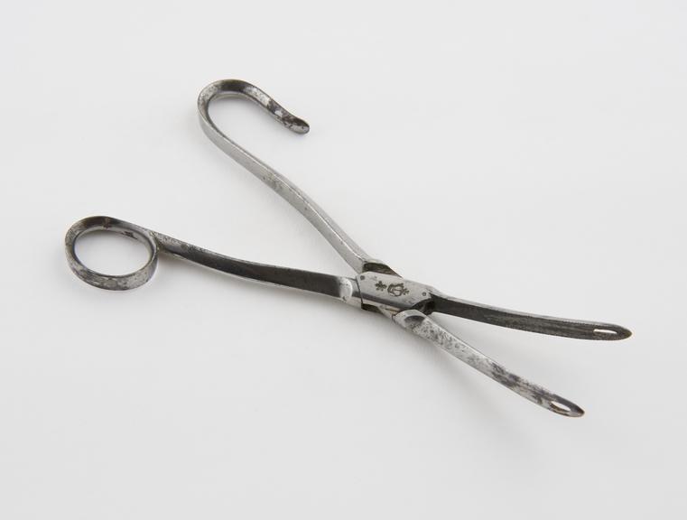 Nasal polypus forceps(?), steel, 1750-1850