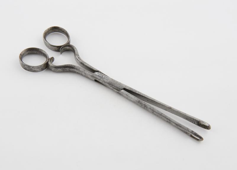 Polypus forceps, steel, 1600-1800