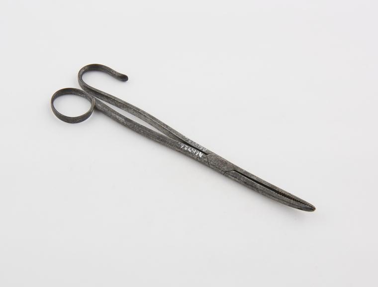 Polypus forceps, steel, by Still, Britain, 19th century