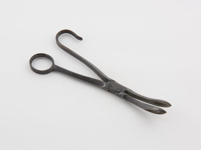 Nasal polypus forceps, steel, by Pepys of London, 1760-1860