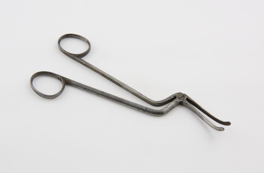 Nasal polypus forceps(?), steel, probably English, 1870-1900