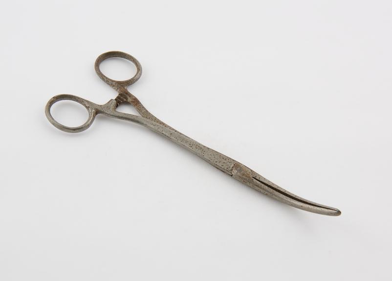 Kocher's nasal polypus forceps, steel, corroded, British(?)