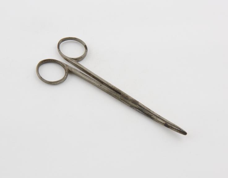 Nasal forceps, steel, 19th century