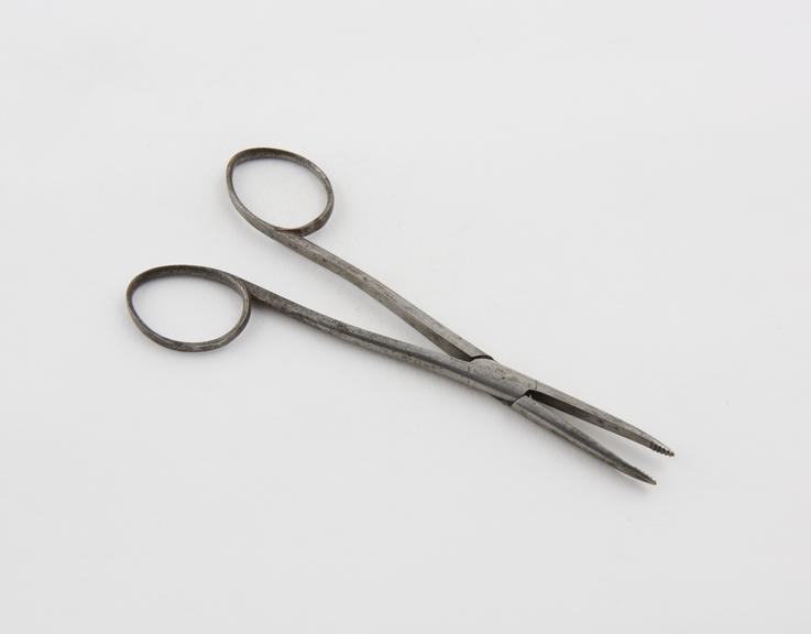 Nasal forceps, steel, 19th century