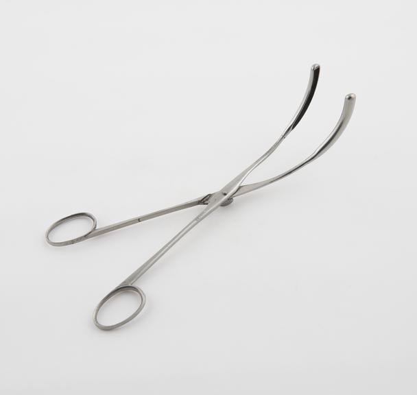 Possibly nasal forceps, steel, 19th century