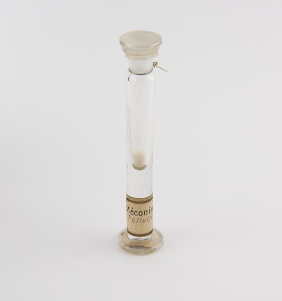 Tall glass specimen jar