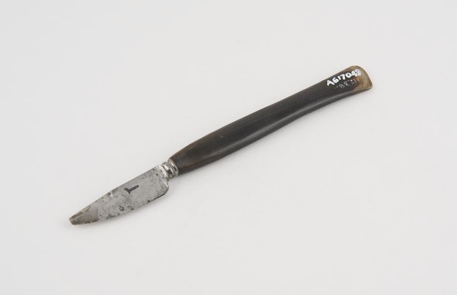 Knife, steel and shell, 18th century