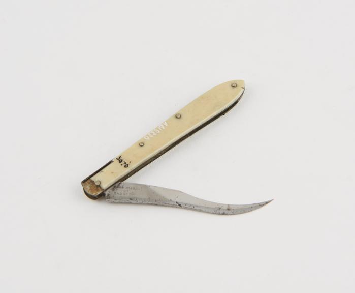 Syme's abscess knife, steel, folding, in ivory sheath