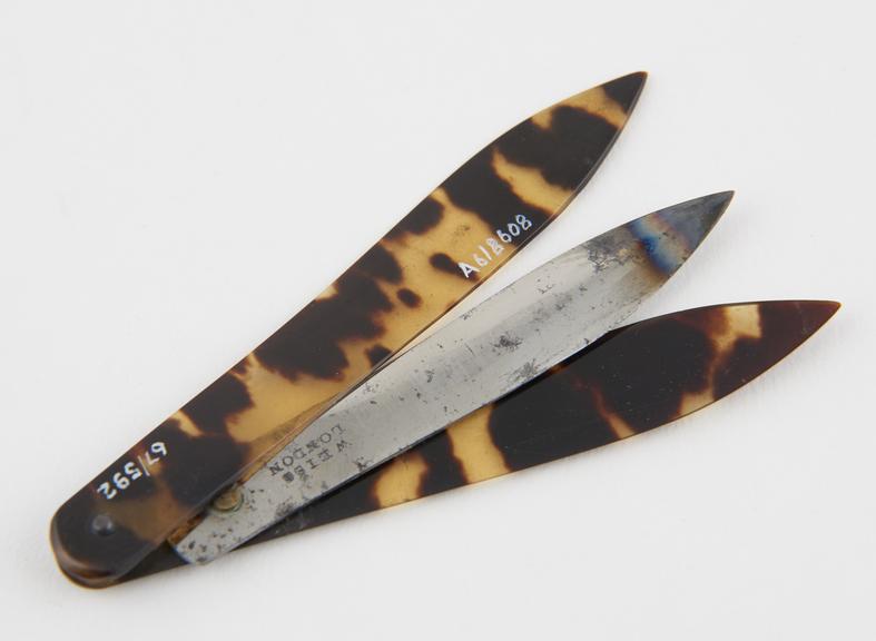 Seton needle, steel, in tortoiseshell sheath