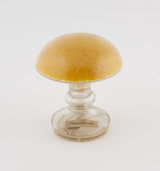 salicyclidene-pseudocumidine