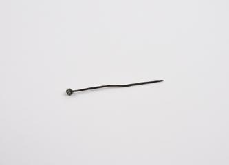 Roman pin