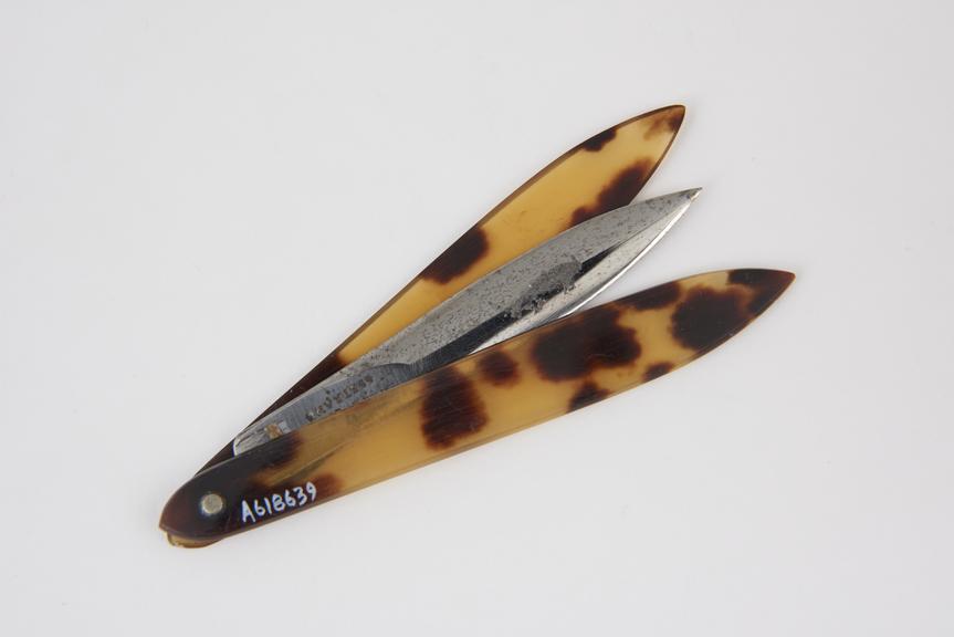 Seton needle, steel, in tortoiseshell sheath, by Simpson