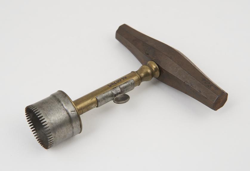 Cranial trephiine with wooden handle