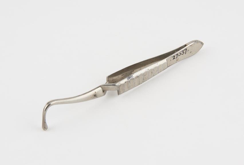 Tracheal dilating forceps, steel, plated, by J.H