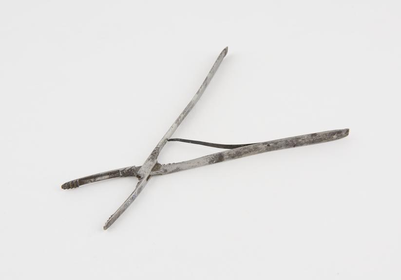 Skull forceps, double ended, 18th century, steel