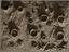 Fifteen Photographs of Nasmyth's Lunar Crater Models