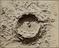 Fifteen Photographs of Nasmyth's Lunar Crater Models