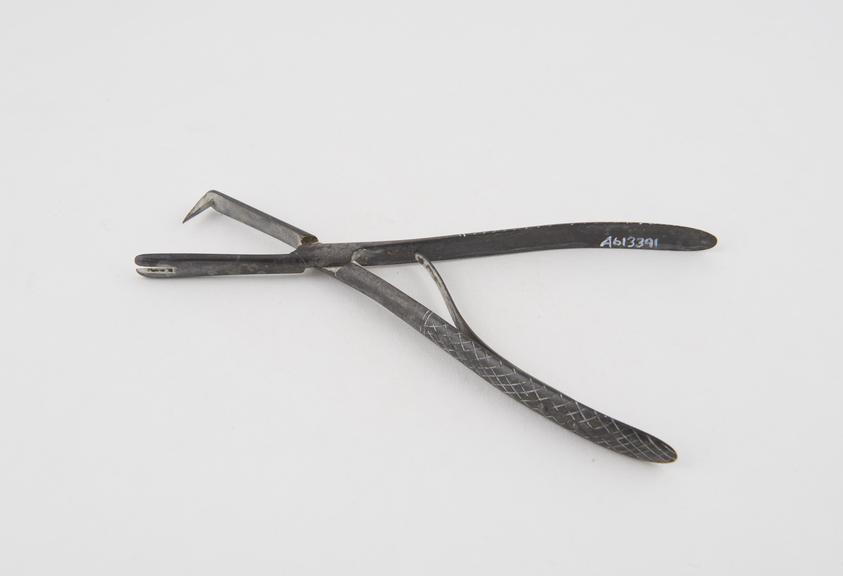 Suture forceps, steel, 19th century